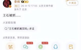 曝王石被抓爆料者透露原因田朴珺急眼了王石回应：交给法律